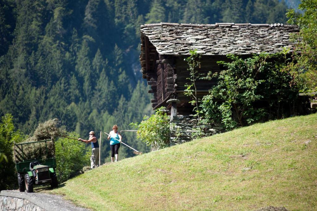 Albergo Castello Da Bonino Champorcher Oda fotoğraf